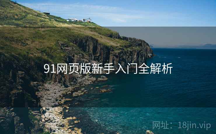 91网页版新手入门全解析