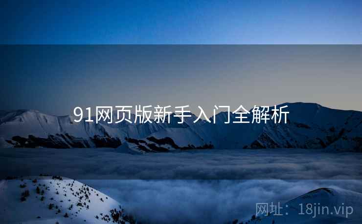 91网页版新手入门全解析