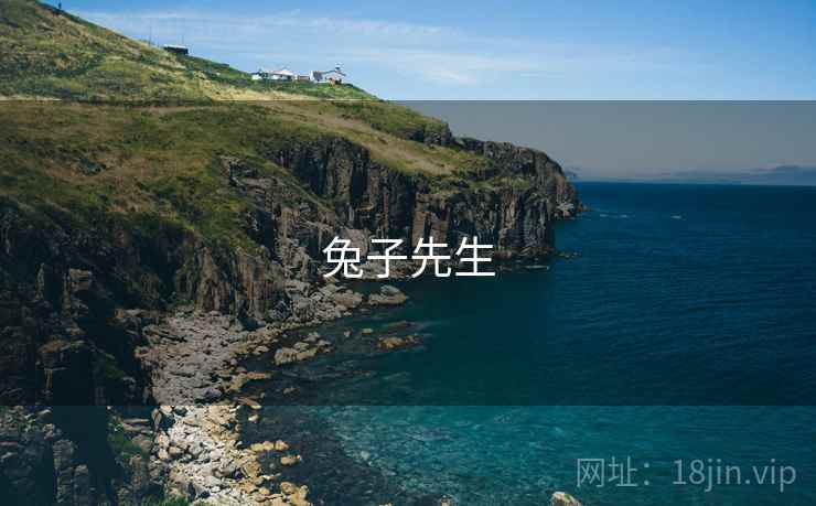 兔子先生