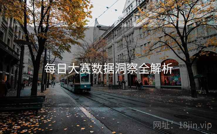 每日大赛数据洞察全解析