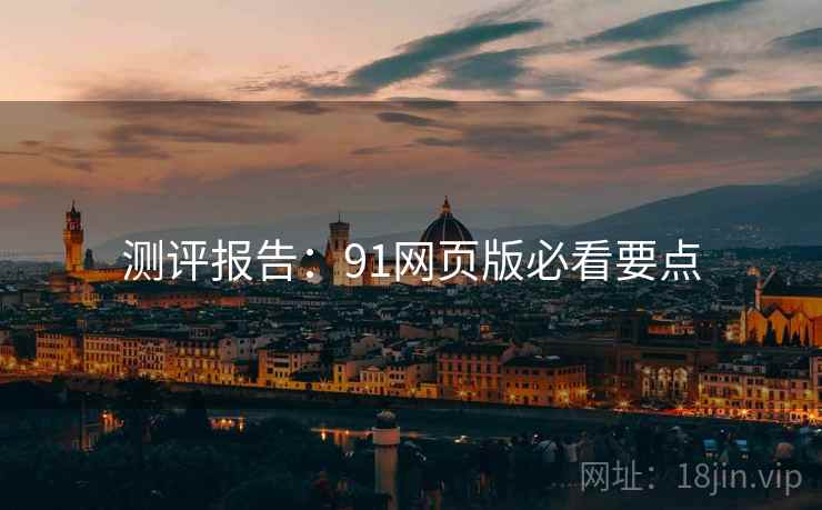 测评报告：91网页版必看要点