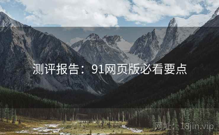 测评报告：91网页版必看要点