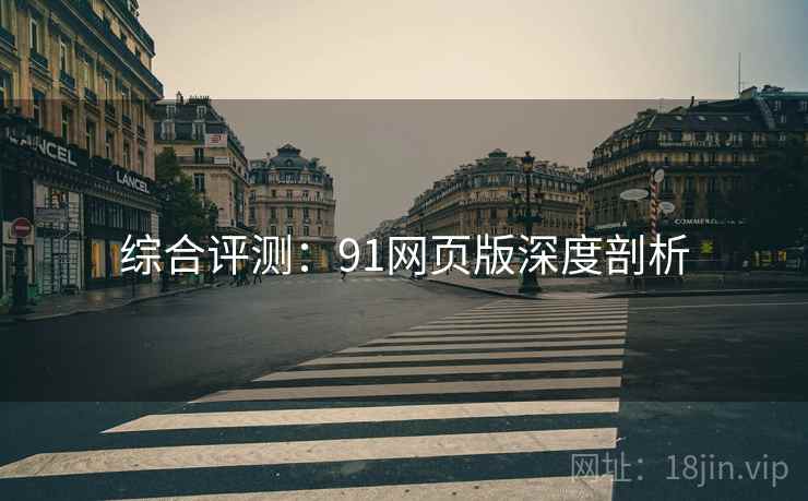 综合评测：91网页版深度剖析