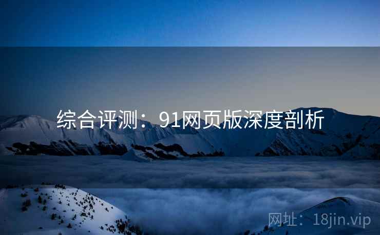 综合评测：91网页版深度剖析