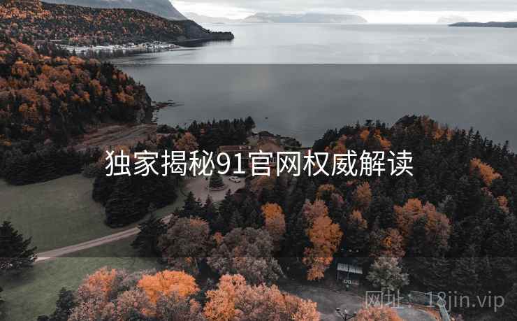 独家揭秘91官网权威解读