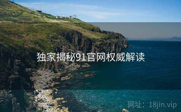 独家揭秘91官网权威解读