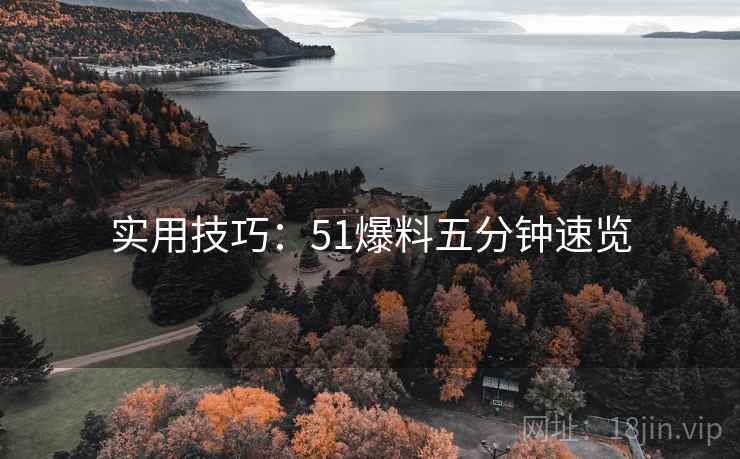 实用技巧：51爆料五分钟速览