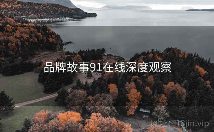 品牌故事91在线深度观察