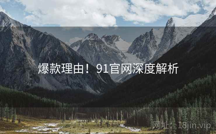爆款理由！91官网深度解析