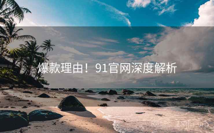 爆款理由！91官网深度解析