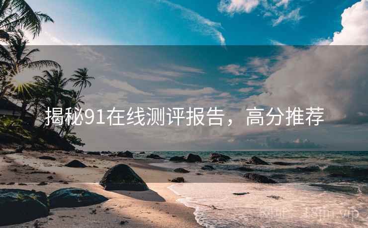 揭秘91在线测评报告，高分推荐