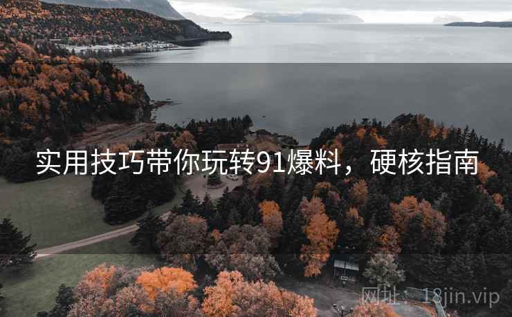 实用技巧带你玩转91爆料，硬核指南