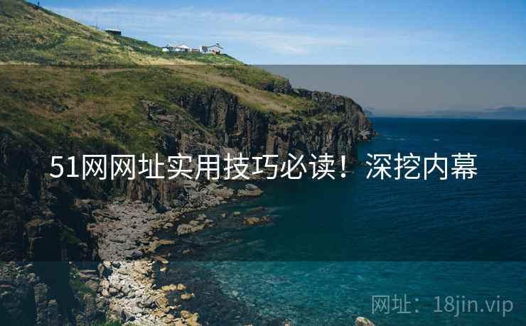 51网网址实用技巧必读！深挖内幕