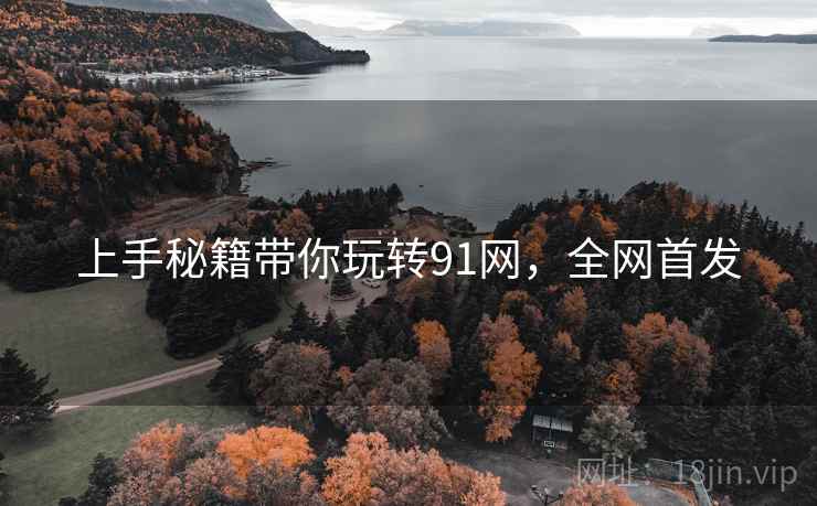 上手秘籍带你玩转91网，全网首发