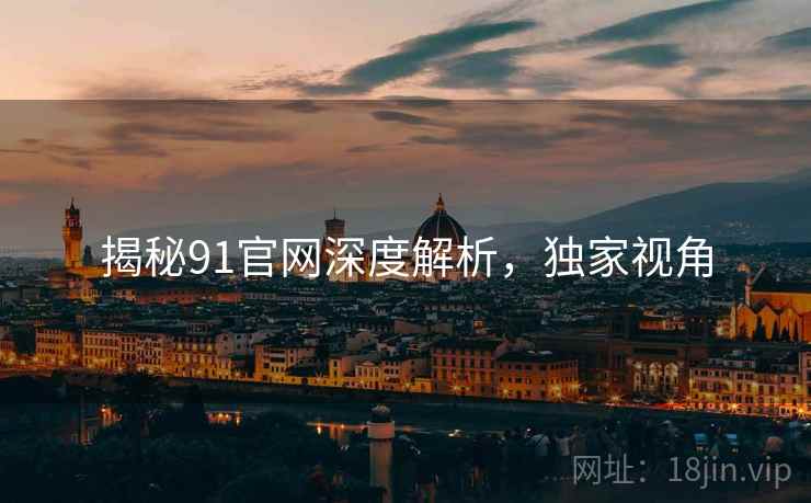 揭秘91官网深度解析，独家视角