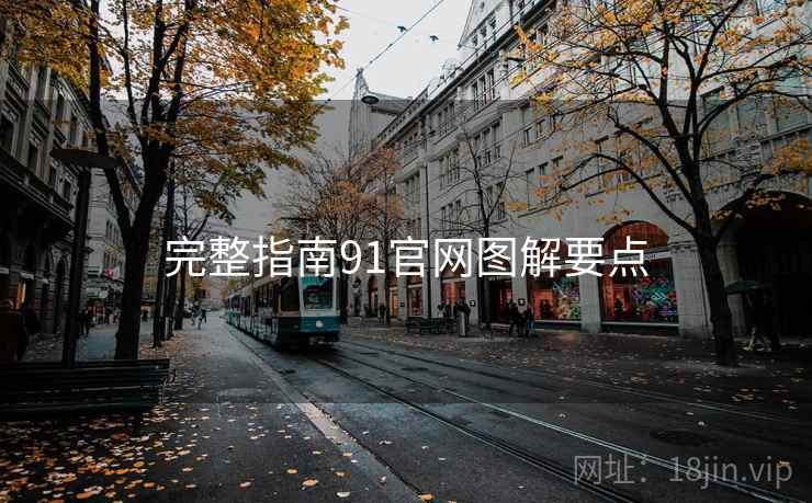 完整指南91官网图解要点